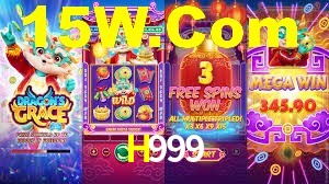 H999 App Interface